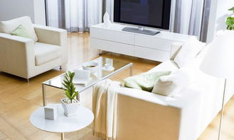 以舊換新 激發相關個股 家具板塊集體飆升