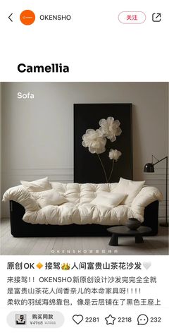 家居家具品牌涌入小紅書
